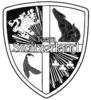 Team Swiss Logo Image
